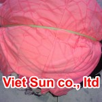 Vải Lau Công Nghiệp Mặt Trời Việt – Công Ty TNHH TM DV Thu Mua Phế Liệu Xây Dựng Mặt Trời Việt