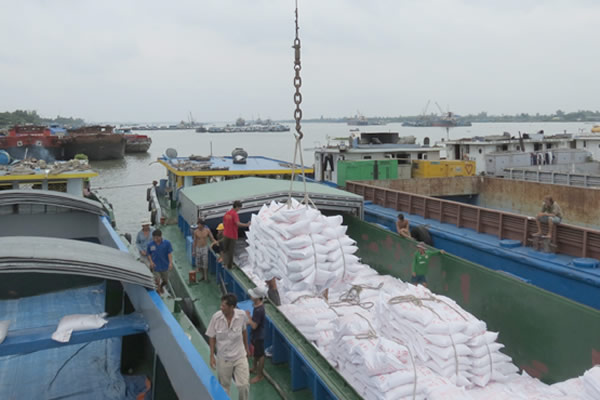 Giao Nhận Vận Tải Phượng Hoàng – Công Ty CP Thương Mại Và Tiếp Vận Phượng Hoàng