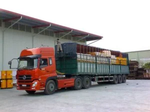 Công Ty TNHH én Vàng