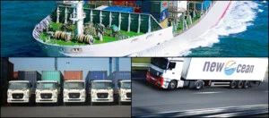 Vận Chuyển Tân Đại Dương – Công Ty Cổ Phần Thương Mại Và Dịch Vụ Tiếp Vận Tân Đại Dương