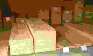 Công Ty TNHH Gỗ Mộc Thiên Ân