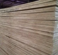 Ván ép Mỹ Việt.S – Công Ty TNHH Mỹ Việt.S