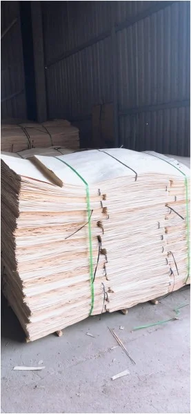 Công Ty TNHH XNK Tâm Thịnh Phát