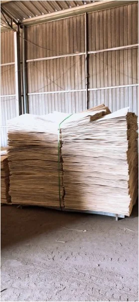 Công Ty TNHH XNK Tâm Thịnh Phát