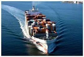 Chi Nhánh Công Ty TNHH Vận Tải Danh Ngọc