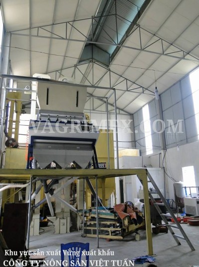 Nông Sản Việt Tuấn – Công Ty TNHH XNK Nông Sản Việt Tuấn