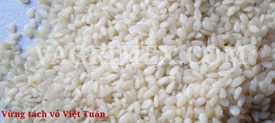 Nông Sản Việt Tuấn – Công Ty TNHH XNK Nông Sản Việt Tuấn