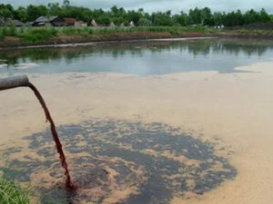 Tư Vấn Môi Trường Bách Việt – Công Ty TNHH Bách Việt Đồng Nai