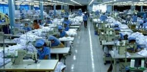 Công Ty TNHH Sản Xuất Và Thương Mại Thời Trang Nam Phương