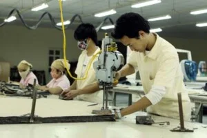 Công Ty TNHH Sản Xuất Và Thương Mại Thời Trang Nam Phương