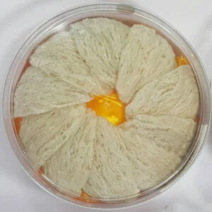 Chi Nhánh – Công Ty TNHH Kim Linh