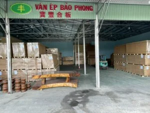 Gỗ Bảo Phong – Công Ty TNHH Ván ép Bảo Phong
