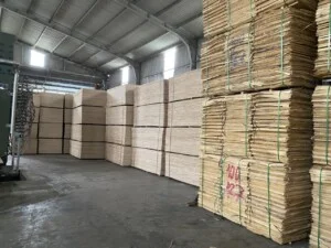 Công Ty TNHH Sản Xuất Gỗ Phúc Hưng