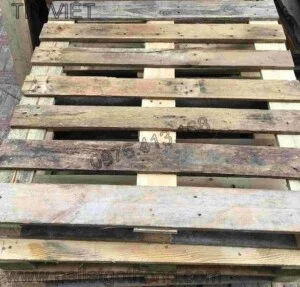 Cơ Sở Pallet Gỗ Tín Việt
