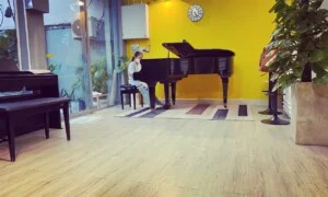 Công Ty TNHH Sol Music