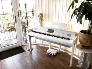 Công Ty TNHH Sol Music
