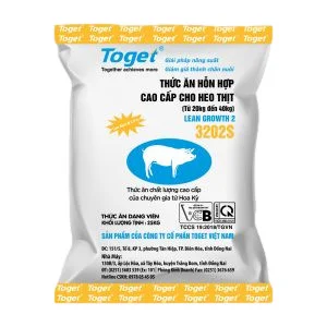 Công Ty Cổ Phần Toget Việt Nam