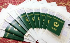 Dịch Thuật Chúc Vinh Quý –  Công Ty TNHH Chúc Vinh Quý