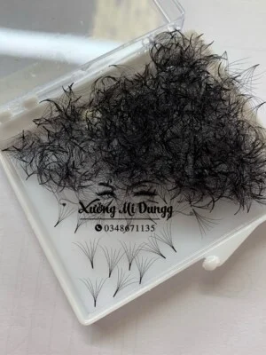 Lông Mi Hoàng Dung – Công Ty TNHH Lông Mi Hoàng Dung