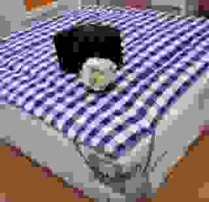 Forever Bedding – Công Ty CP Thương Mại Hoàng Hải