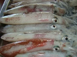 Công Ty TNHH Thực Phẩm Quang Luận Risa