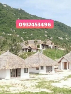 Cơ Sở Mái Lá Nguyễn Thái