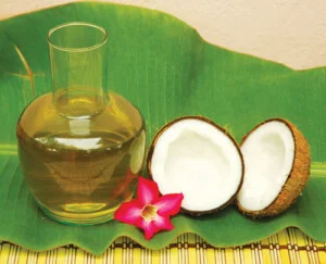 Dừa Betrimex – Công Ty Cổ Phần Xuất Nhập Khẩu Bến Tre