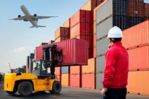 Vận Chuyển Halo – Công Ty TNHH Thương Mại Và Xuất Nhập Khẩu Halo