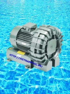 Thi Công Bể Bơi Toàn Việt – Công Ty CP Phát Triển Công Nghệ Toàn Việt