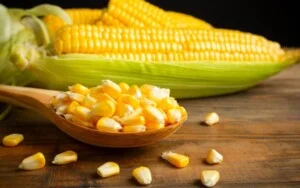 Nông Sản Đức Phúc – Công Ty TNHH Xuất Nhập Khẩu Đức Phúc
