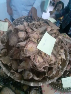 Công Ty TNHH Thương Mại Dược Liệu Y Học Cổ Truyền Nguyễn Thanh Tâm