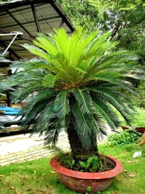 Công Ty TNHH Kỷ Nguyên Xanh