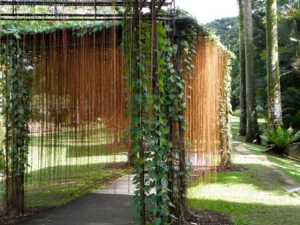 Công Ty TNHH Kỷ Nguyên Xanh