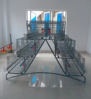 Thiết Bị Chăn Nuôi Gia Linh – Công Ty TNHH Sản Xuất Và Dịch Vụ Gia Linh