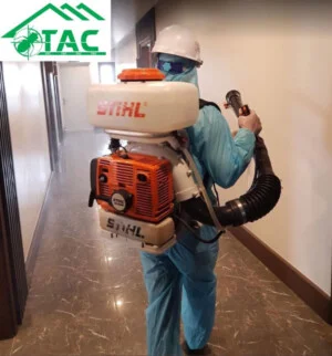 Diệt Mối Trần Anh – CN Công Ty TNHH Phòng Trừ Mối Và Diệt Côn Trùng Trần Anh