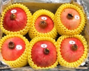 Công Ty TNHH Một Thành Viên Thương Mại Xuất Nhập Khẩu Tân Phú Quý
