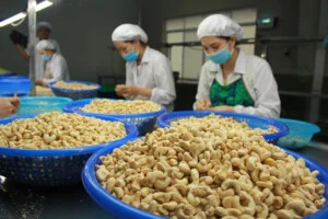 Xuất Nhập Khẩu J&D – Công Ty TNHH Xuất Nhập Khẩu Tổng Hợp J&D
